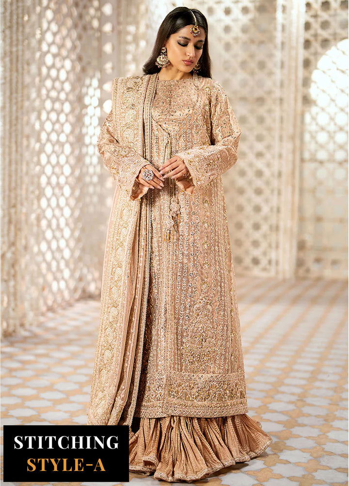 AIK Atelier Embroidered Tissue Suits Unstitched 3 Piece AIK24WF Look 06 - Wedding Collection