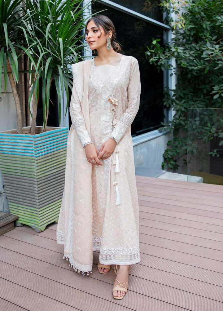 AIK Atelier Embroidered Lawn Suits Unstitched 3 Piece AIK23-L2 01-B - Summer Collection