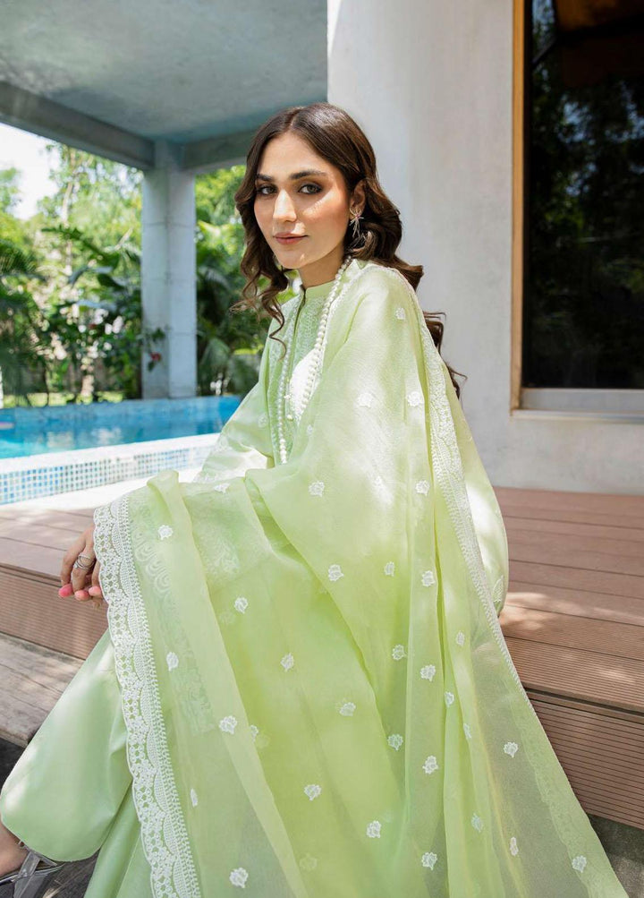 AIK Atelier Embroidered Lawn Suits Unstitched 3 Piece AIK23-L2 02-B - Summer Collection