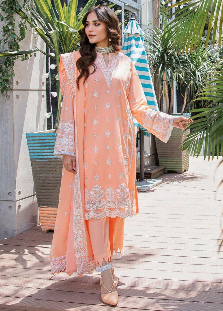 AIK Atelier Embroidered Lawn Suits Unstitched 3 Piece AIK23-L2 03-B - Summer Collection