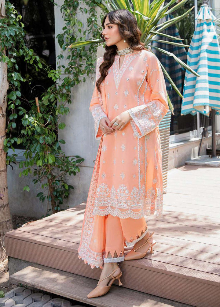 AIK Atelier Embroidered Lawn Suits Unstitched 3 Piece AIK23-L2 03-B - Summer Collection
