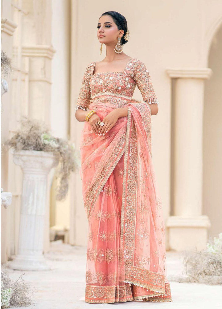 Aik Atelier Embroidered Net  Unstitched Saree AIK23WD Look 09 - Luxury Collection