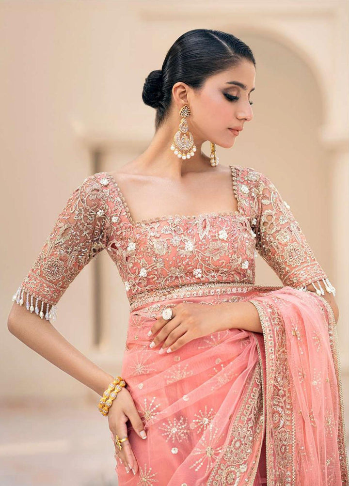 Aik Atelier Embroidered Net  Unstitched Saree AIK23WD Look 09 - Luxury Collection