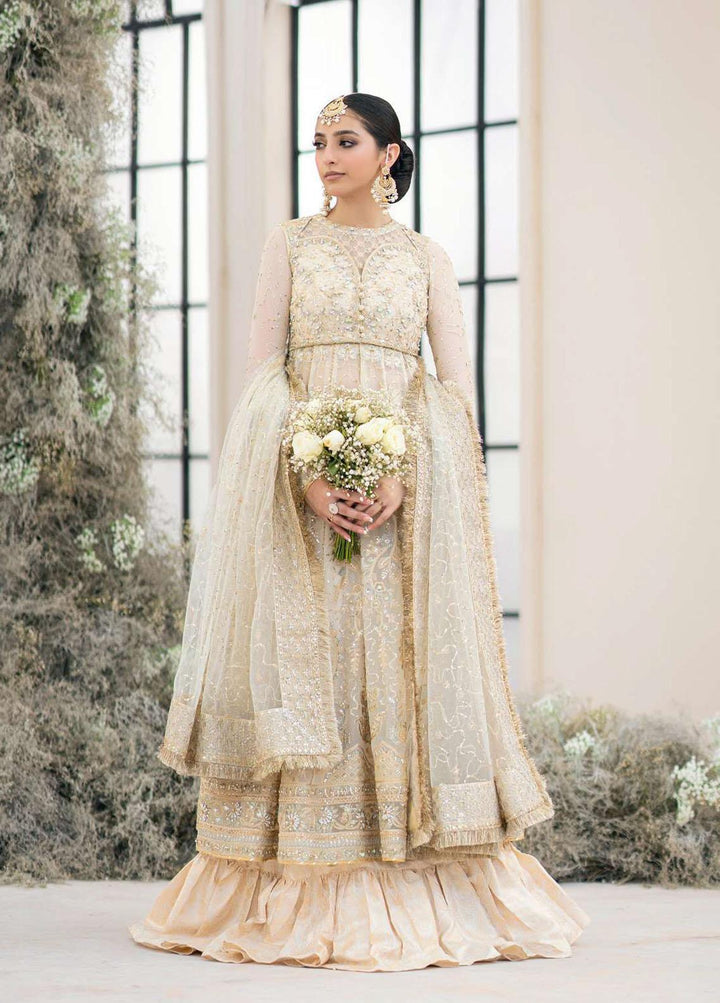 Aik Atelier Embroidered Chiffon Suits Unstitched 3 Piece AIK23WD Look 05 - Luxury Collection