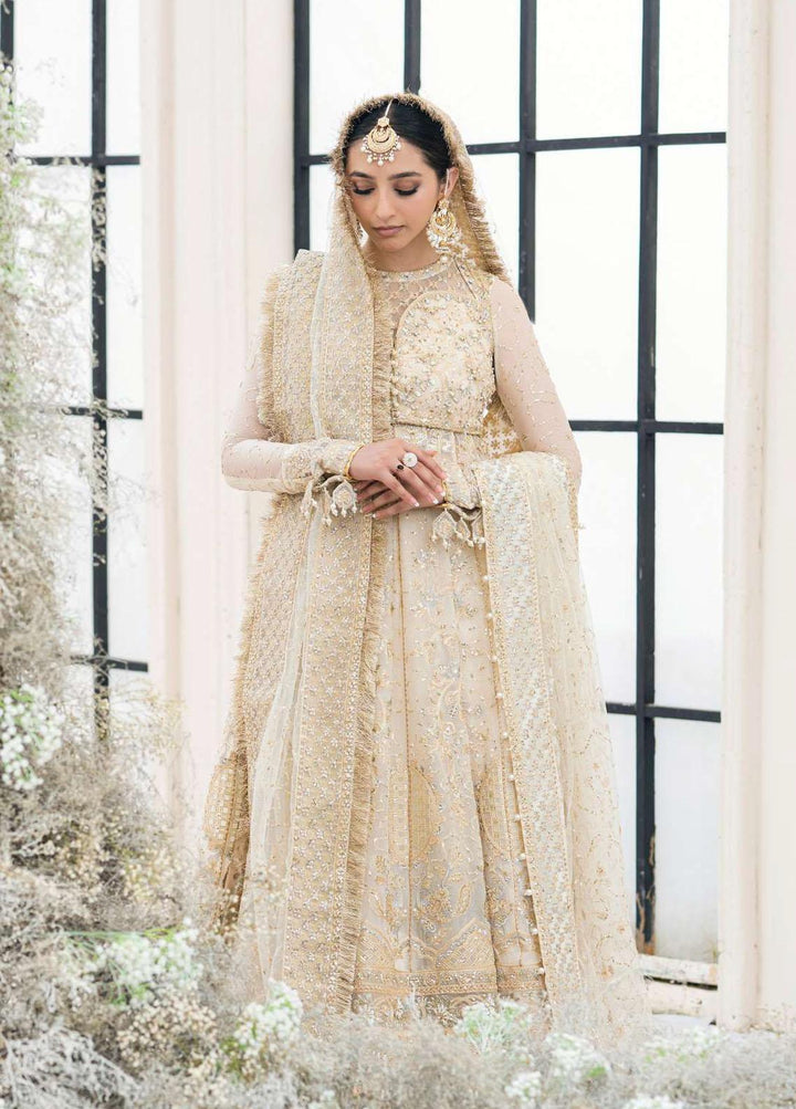 Aik Atelier Embroidered Chiffon Suits Unstitched 3 Piece AIK23WD Look 05 - Luxury Collection