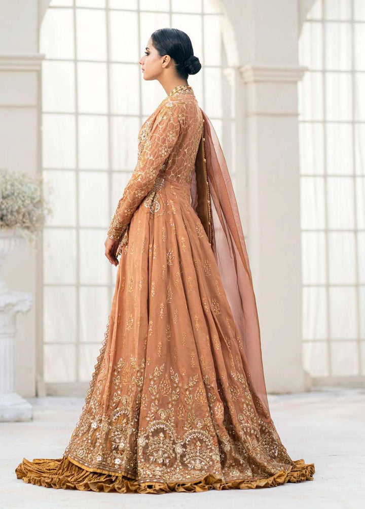 AIK Atelier Embroidered Net Suits Unstitched 3 Piece AIK23WD Look 02 - Wedding Collection