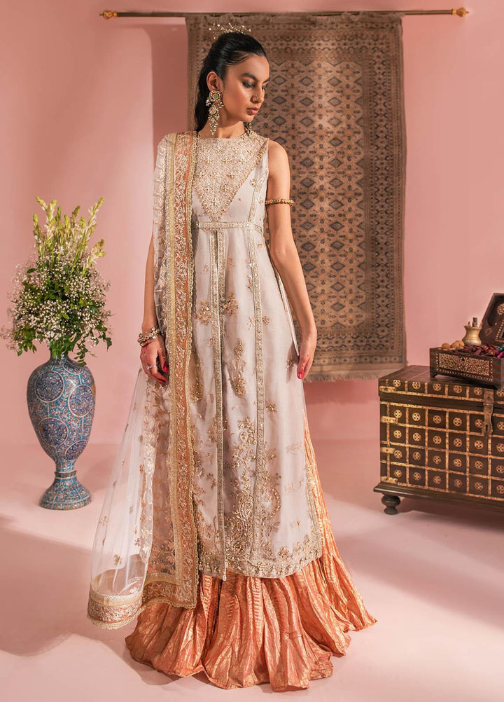 AIK Atelier Embroidered Net Suits Unstitched 3 Piece AIK23WF Look 07 - Luxury Collection