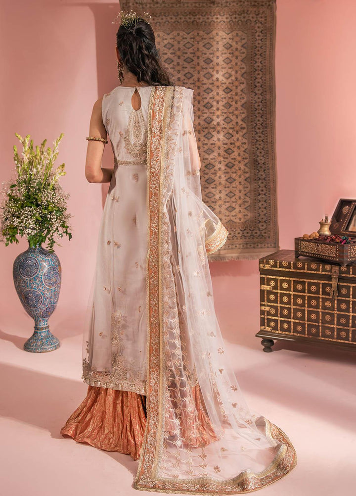 AIK Atelier Embroidered Net Suits Unstitched 3 Piece AIK23WF Look 07 - Luxury Collection