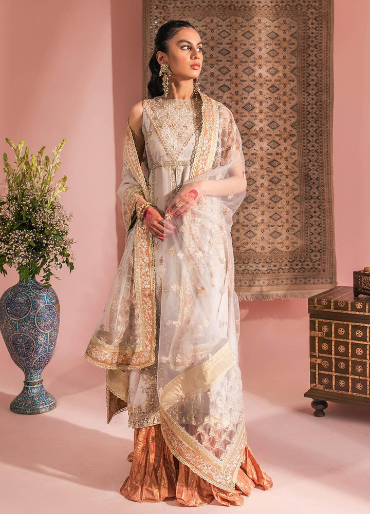 AIK Atelier Embroidered Net Suits Unstitched 3 Piece AIK23WF Look 07 - Luxury Collection