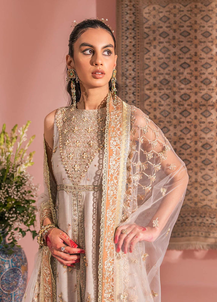 AIK Atelier Embroidered Net Suits Unstitched 3 Piece AIK23WF Look 07 - Luxury Collection
