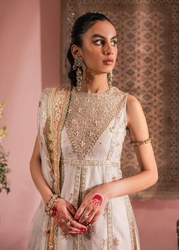 AIK Atelier Embroidered Net Suits Unstitched 3 Piece AIK23WF Look 07 - Luxury Collection