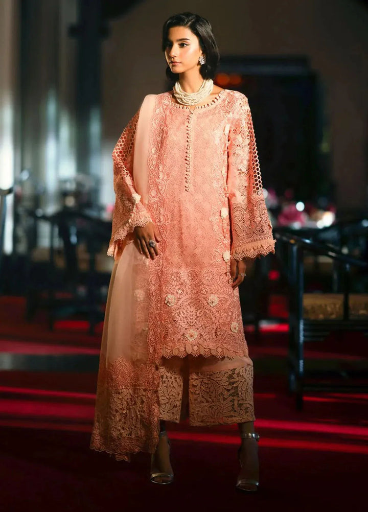 AJR Couture Pret Embroidered 3 Piece Suit Lucent