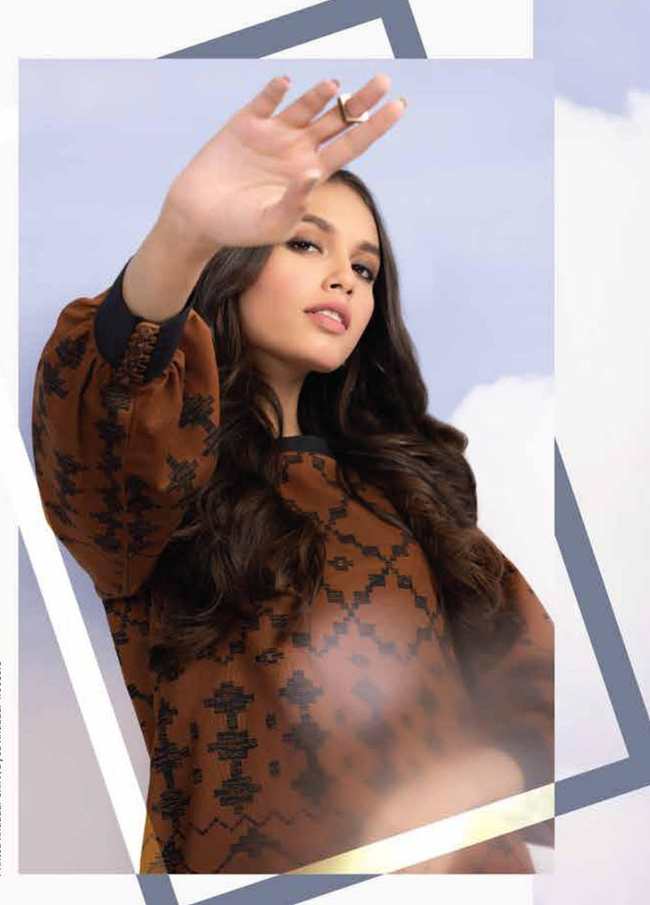 Al Karam Printed Khaddar Suits Unstitched 2 Piece AK21W FW-35.1-21 Brown - Winter Collection