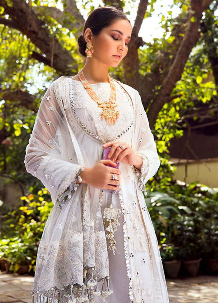 Al Zohaib Embroidered Net Suits Unstitched 3 Piece AZ22FW 07 Sephora - Luxury Collection
