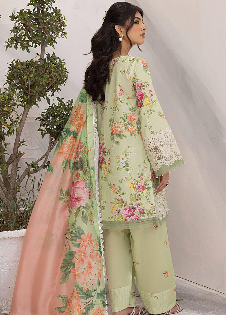 Aleyna By Asifa & Nabeel Embroidered Lawn Suits Unstitched 3 Piece AN23AL ALV-07 Camellia - Summer Collection