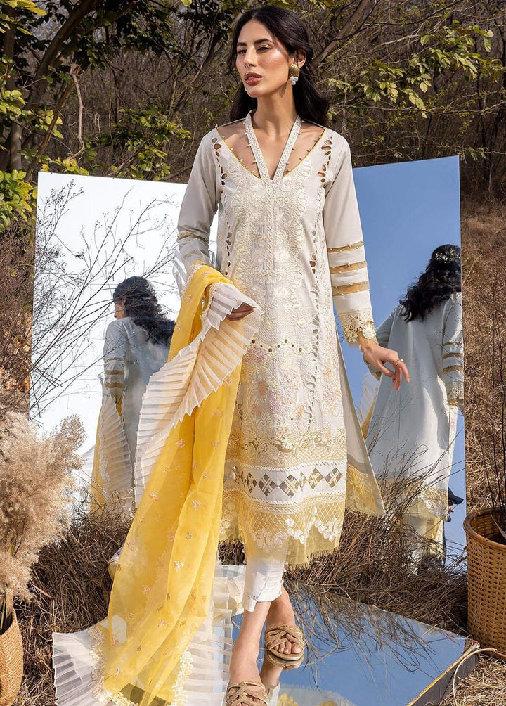 Aleyna By Asifa & Nabeel Embroidered Lawn Suits Unstitched 3 Piece AN23A ASL-04 Gris - Summer Collection
