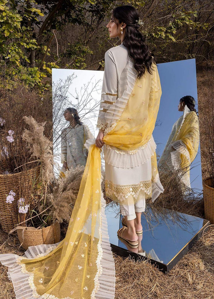 Aleyna By Asifa & Nabeel Embroidered Lawn Suits Unstitched 3 Piece AN23A ASL-04 Gris - Summer Collection