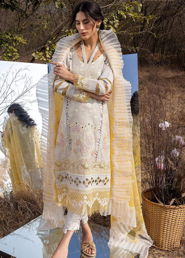 Aleyna By Asifa & Nabeel Embroidered Lawn Suits Unstitched 3 Piece AN23A ASL-04 Gris - Summer Collection