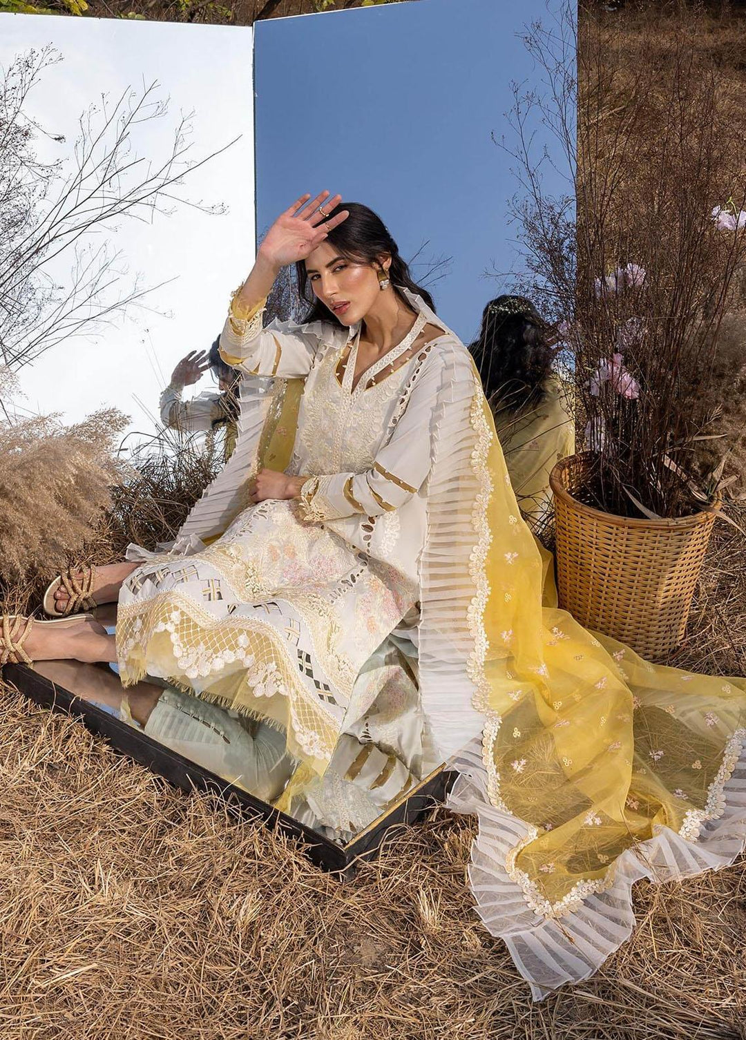 Aleyna By Asifa & Nabeel Embroidered Lawn Suits Unstitched 3 Piece AN23A ASL-04 Gris - Summer Collection