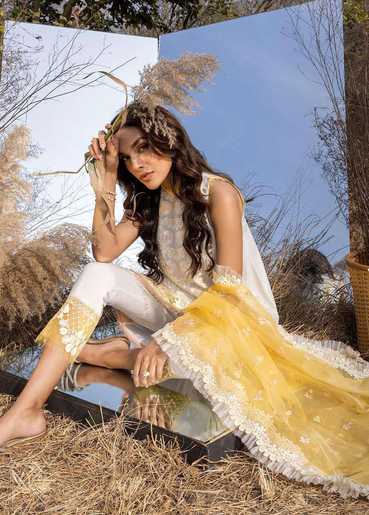 Aleyna By Asifa & Nabeel Embroidered Lawn Suits Unstitched 3 Piece AN23A ASL-04 Gris - Summer Collection