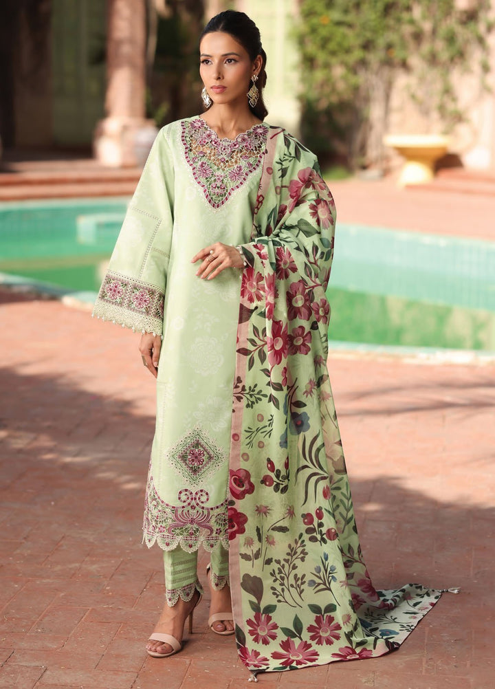 Alizeh Fashion Embroidered Lawn Suits Unstitched 3 Piece AFB25FS D-04 Numa - Summer Collection