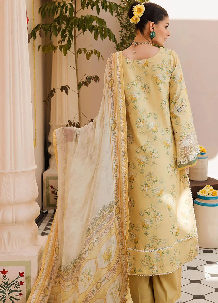 Amal by Motifz Embroidered Lawn Suit Unstitched 3 Piece MT24A 4623-Carolina - Summer Collection