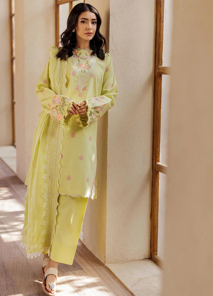 Amari by RajBari Embroidered Lawn Suits Unstitched 3 Piece RB25A D-08 - Summer Collection