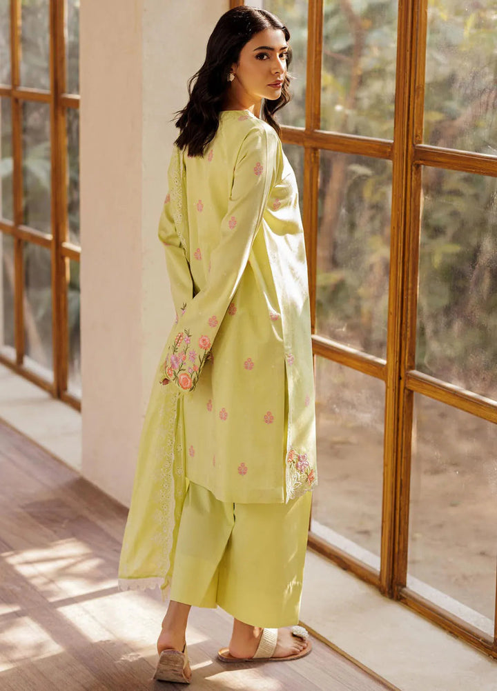 Amari by RajBari Embroidered Lawn Suits Unstitched 3 Piece RB25A D-08 - Summer Collection