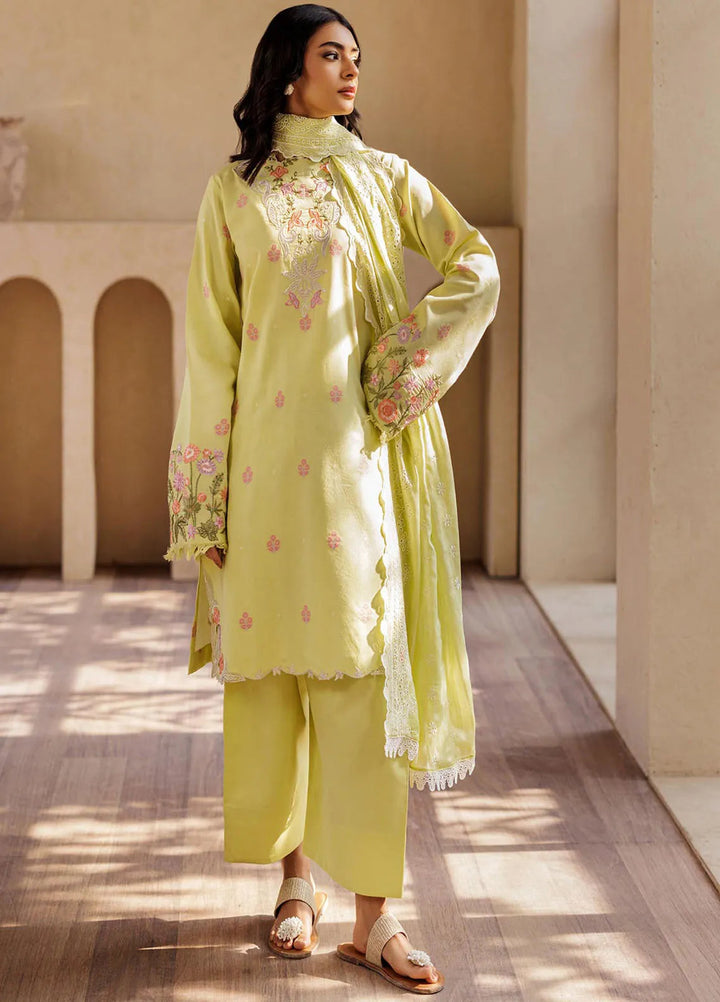 Amari by RajBari Embroidered Lawn Suits Unstitched 3 Piece RB25A D-08 - Summer Collection
