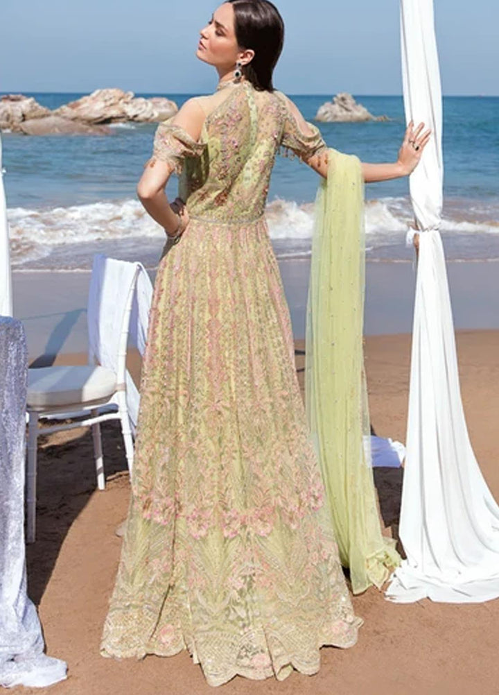 Amiraa by Reign Embroidered Net Suits Unstitched 3 Piece RGN21AM RN-01 DIBA-A - Luxury Collection