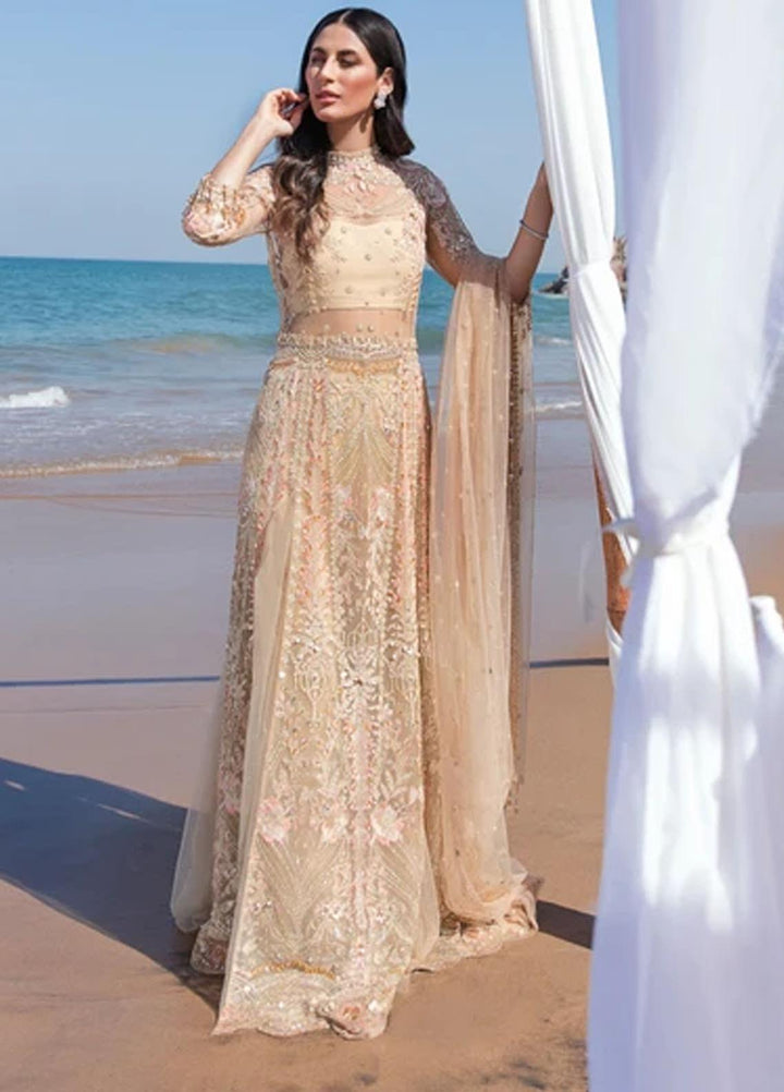 Amiraa by Reign Embroidered Net Suits Unstitched 3 Piece RGN21AM RN-02 DIBA-B - Luxury Collection