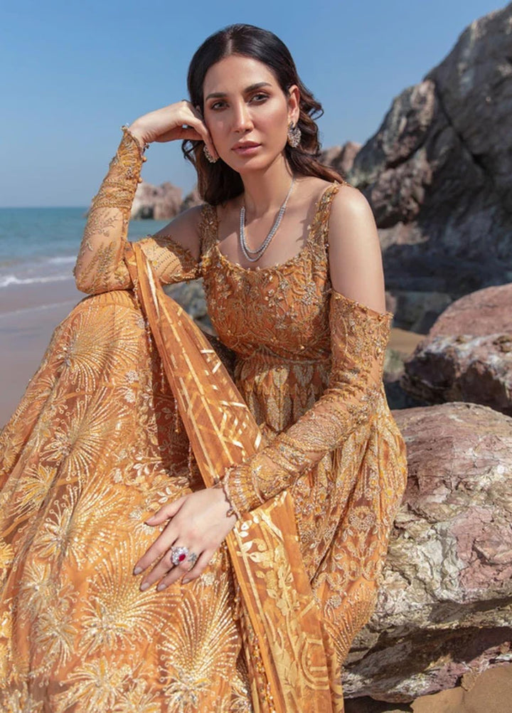 Amiraa by Reign Embroidered Net Suits Unstitched 3 Piece RGN21AM RN-03 ZENDAYA-A - Luxury Collection