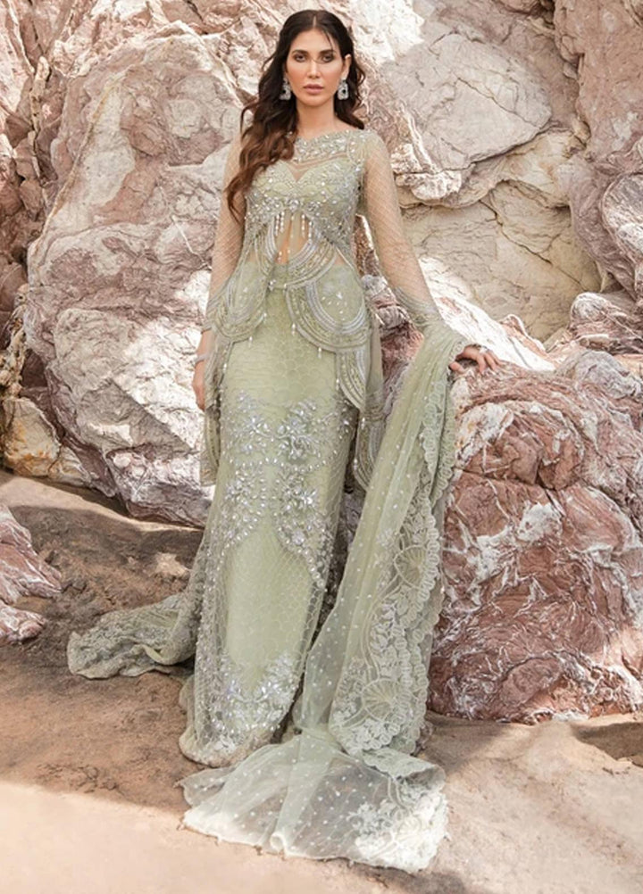 Amiraa by Reign Embroidered Net Suits Unstitched 3 Piece RGN21AM RN-06 ZAINA-B - Luxury Collection