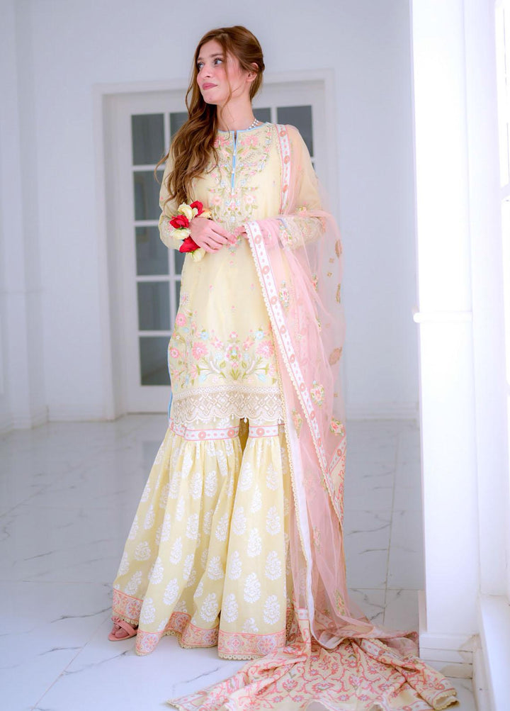 Anaya By Kiran Chaudhry Embroidered Lawn Suits Unstitched 3 Piece AK21KR 02-B BANU - Summer Collection