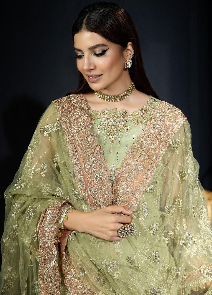 Andaaz-E-Khaas By Imrozia Premium Embroidered Organza Suits Unstitched 3 Piece IMP23AK IB-39 Azminah - Luxury Collection