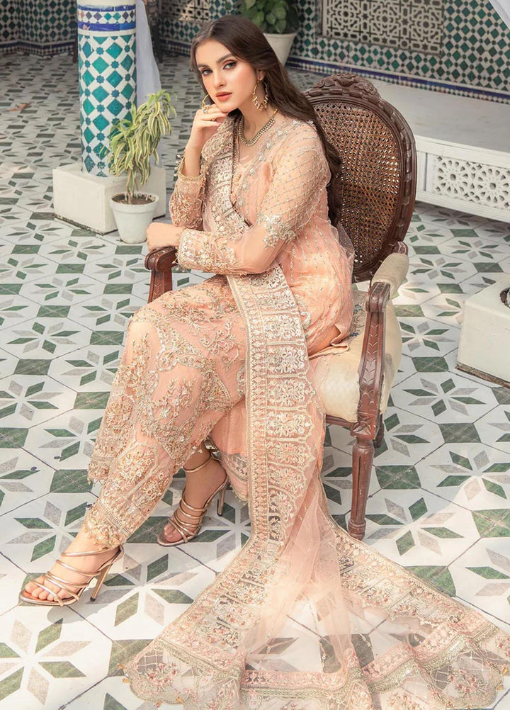 Andaz-e-Khas By Meeral Embroidered Net Suits Unstitched 3 Piece MRL24AK Nayab - Formal Collection