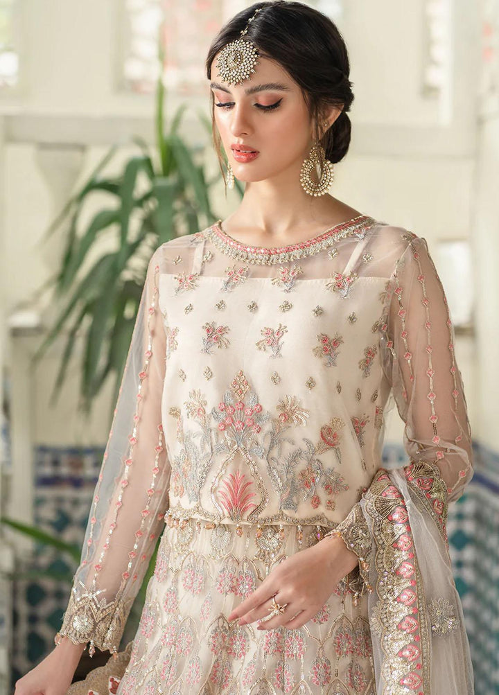 Andaz-e-Khas By Resham Ghar Embroidered Net Suits Unstitched 3 Piece RG22AK JAHAN ARA - Luxury Collection
