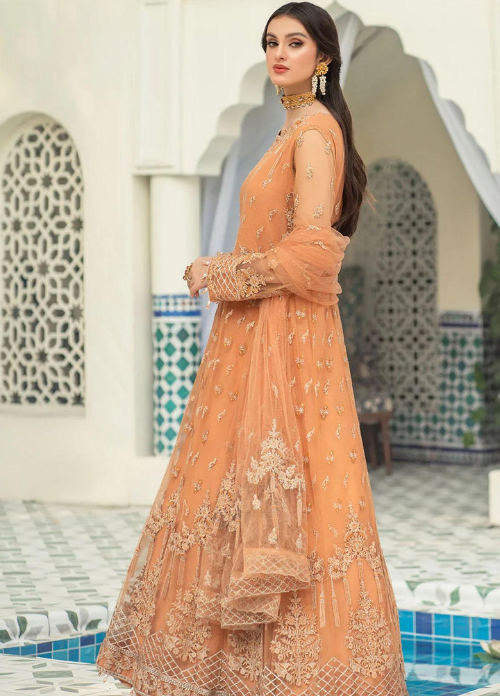 Andaz-e-Khas By Resham Ghar Embroidered Net Suits Unstitched 3 Piece RG22AK MASAKALI - Luxury Collection