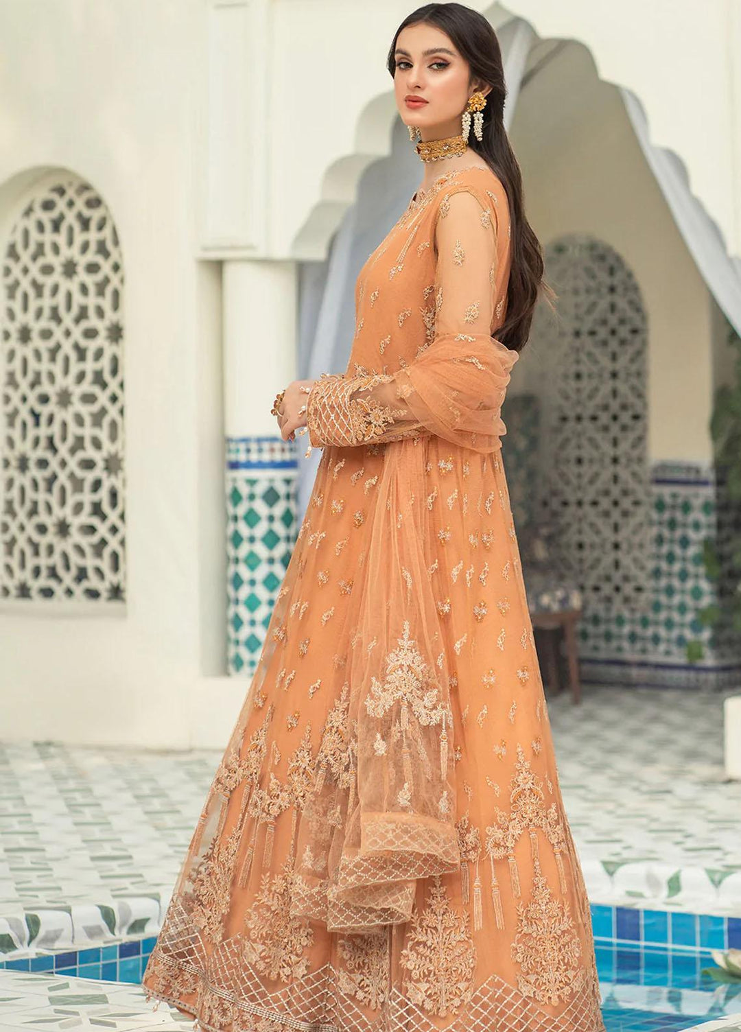Andaz-e-Khas By Resham Ghar Embroidered Net Suits Unstitched 3 Piece RG22AK MASAKALI - Luxury Collection