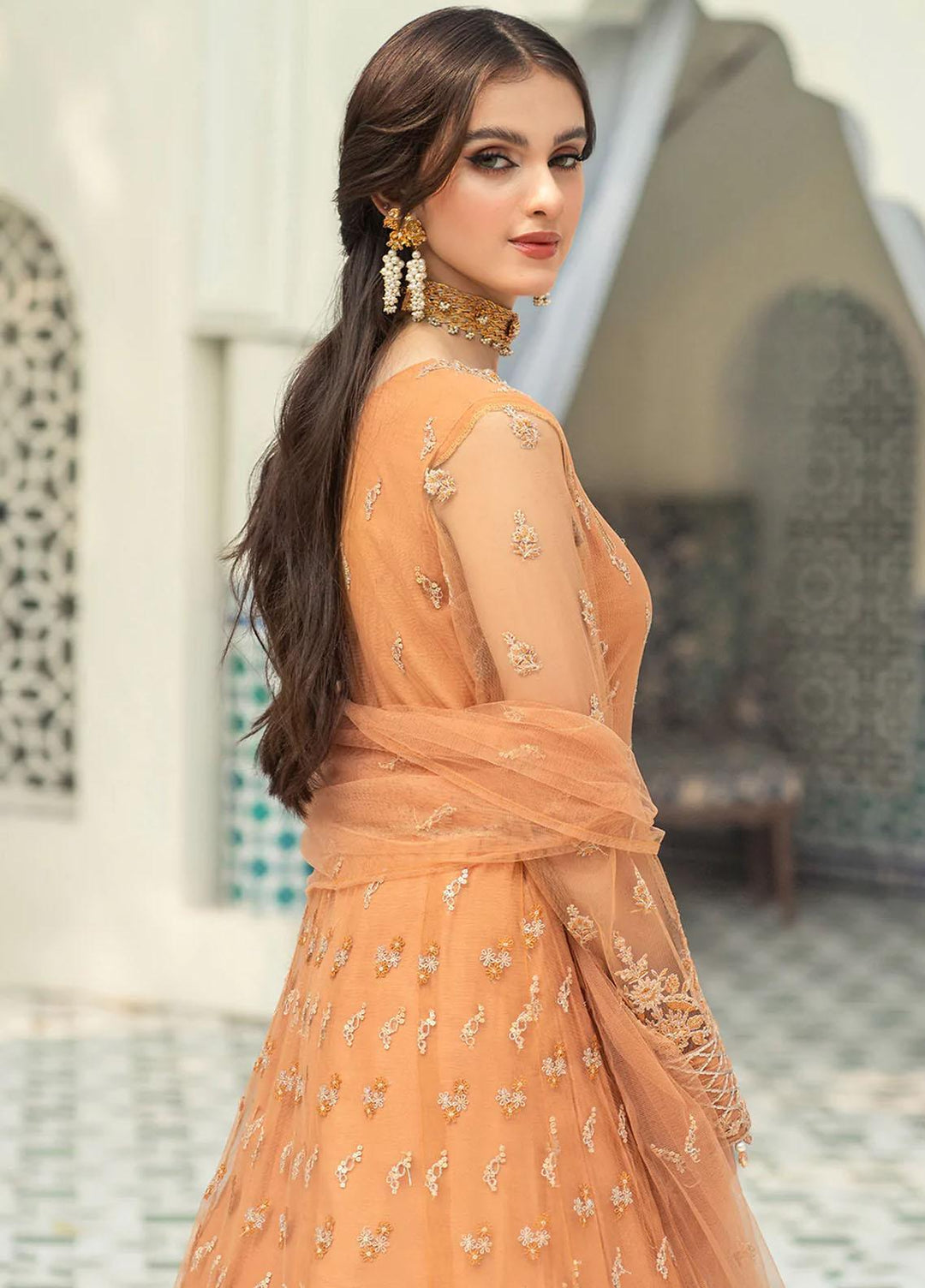 Andaz-e-Khas By Resham Ghar Embroidered Net Suits Unstitched 3 Piece RG22AK MASAKALI - Luxury Collection