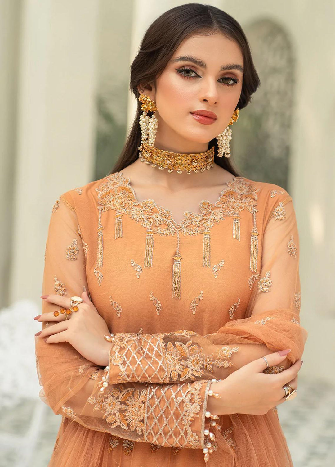 Andaz-e-Khas By Resham Ghar Embroidered Net Suits Unstitched 3 Piece RG22AK MASAKALI - Luxury Collection