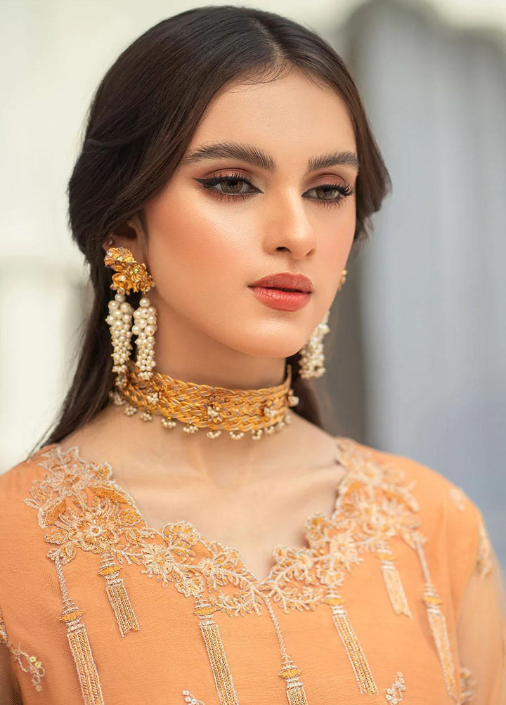 Andaz-e-Khas By Resham Ghar Embroidered Net Suits Unstitched 3 Piece RG22AK MASAKALI - Luxury Collection