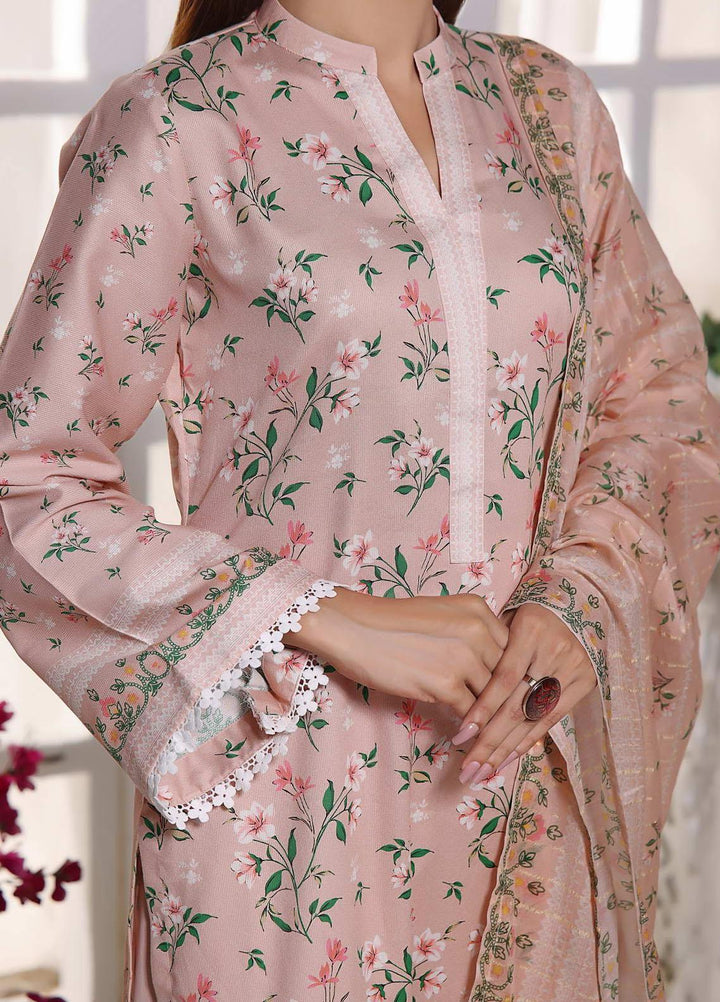 Anmol By VS Textiles Printed Cottel Suits Unstitched 3 Piece VS23AM D-250 - Winter Collection