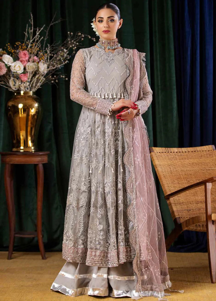 Aroha By Riaz Arts Embroidered Net Suit Unstitched 4 Piece RA24AW AR-06 - Luxury Collection