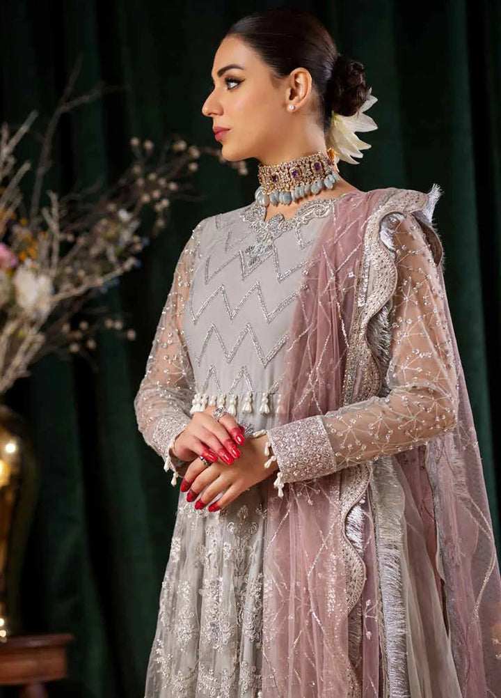 Aroha By Riaz Arts Embroidered Net Suit Unstitched 4 Piece RA24AW AR-06 - Luxury Collection