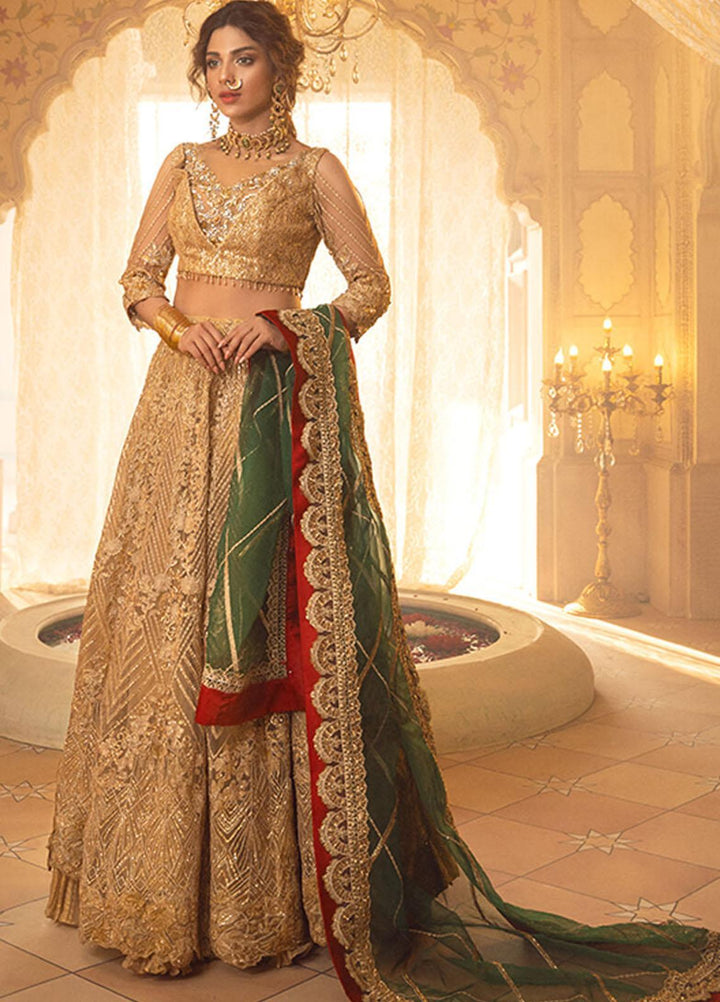 Asifa & Nabeel Embriodered Net Suits Unstitched 3 Piece AN21AI FM-07 RAQS - Luxury Formals Collection