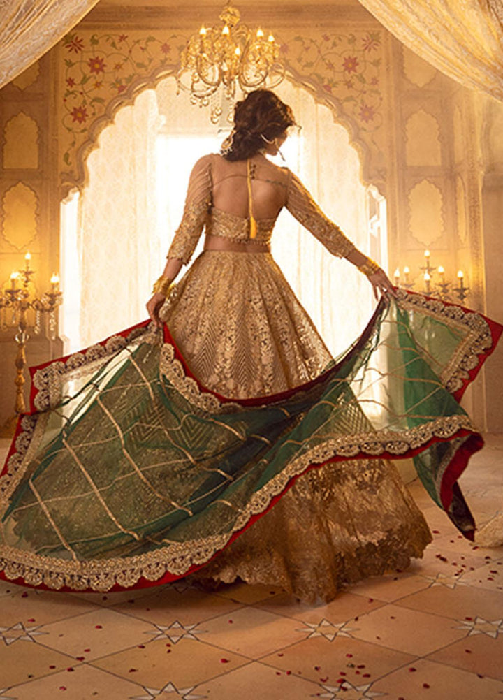 Asifa & Nabeel Embriodered Net Suits Unstitched 3 Piece AN21AI FM-07 RAQS - Luxury Formals Collection