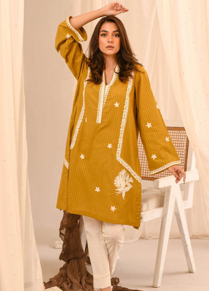 Asifa & Nabeel Pret Embroidered Lawn Kurti AN23B RTW-EMB-13
