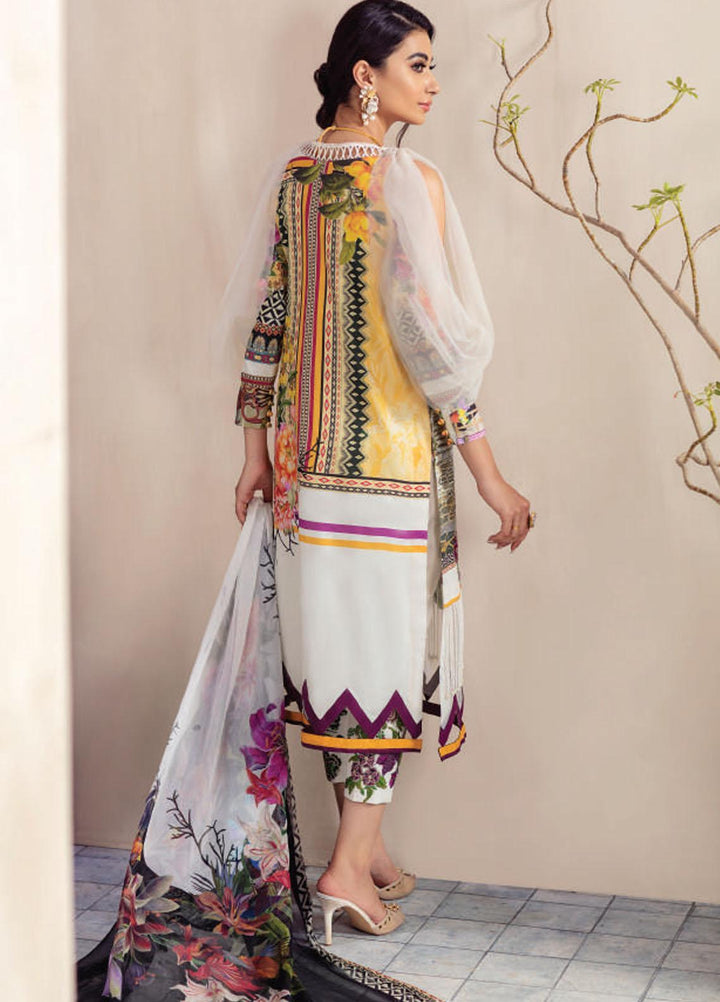 Asifa & Nabeel Embroidered Cambric Cotton Suits Unstitched 3 Piece AN21BF CB-01B - Winter Collection