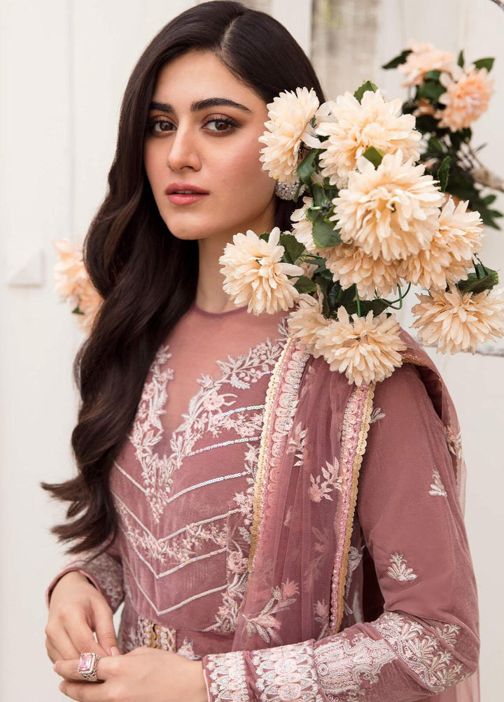 Asifa & Nabeel Embroidered Velvet Suits Unstitched 3 Piece AN22V VC-05 - Luxury Collection